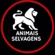 animais selvagem