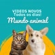 MundoAnimal🐈🐶