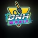 DNH AUDIO