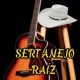 SERTANEJO RAÍZ🎶🎼