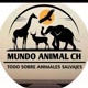 Mundo_animal🐆🐆🐆
