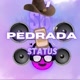 status só pedrada😈
