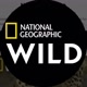 National Geographic Wild