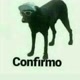 confirmo