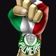 PALMEIRAS FOREVER