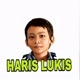 Haris lukis