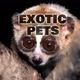 ExoticPets