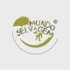 Mundo Selvagem