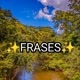 ✨Kwai_frases✨