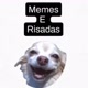 Memes e Risadas