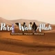 Para Wali Allah