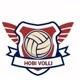 HOBI VOLLI