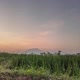 Petani Desa 🌾🌠