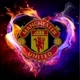 Manchester united