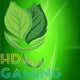 HD Gaming