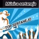 top sertanejo
