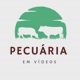 Pecuária em vídeos