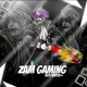 ZAM GAMING