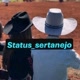 status_sertanejo