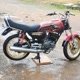 User_rimba kalimantan3121