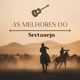 AS MELHORES DO SERTANEJO