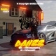 danzz_store