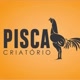 PiscaDigital