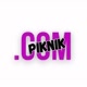 Piknikdotcom