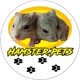 Hamster Pets