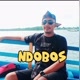 Ndobos