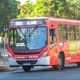 MDF-BUS