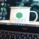 BALE BAMBU PRODUCTION
