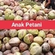 ANAK PETANI
