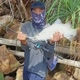 D mancing terus
