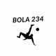 Bola 234