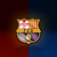 （ViSCA）× BARCA