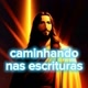 Caminhando nas escrituras