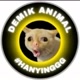 Demik Animal Official