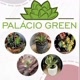 Palácio Green