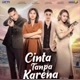 Cinta Tanpa Karena