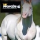 ANTÔNIO MARCOS VAQUEIRO 🤠🐎