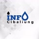 Infocibaliung