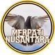 MERPATI KOLONG NUSANTARA