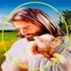 🐑 Jesus Bom Pastor