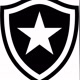 Últimas notícias do Botafogo