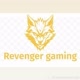 REVENGER GAMING
