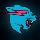 Mr Beast
