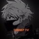 SENNEP TV