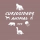 curiosidadeanimal777