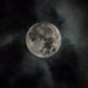 The moon🌙